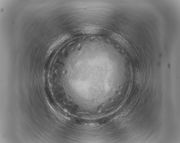 X0000060760586200511141233