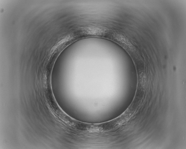 X0000060760587200511141233