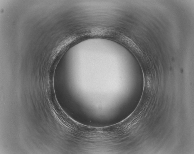 X0000060760588200511141233