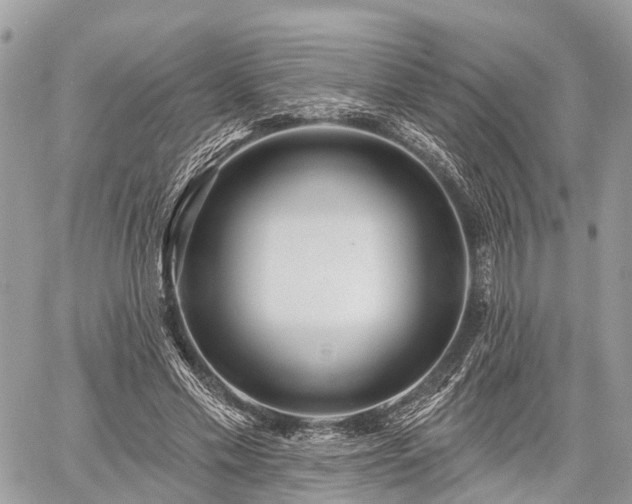 X0000060760589200511141233