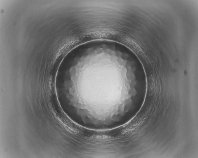 X0000060760590200511141233