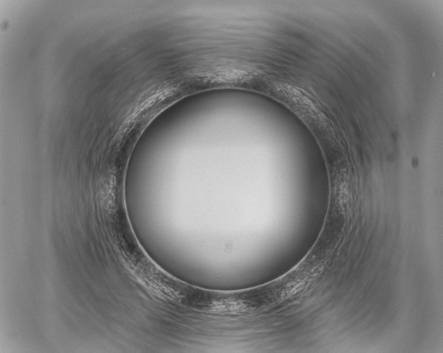 X0000060760591200511141233