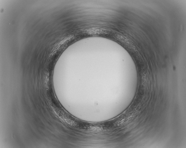 X0000060760592200511141233