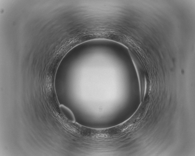 X0000060760593200511141233