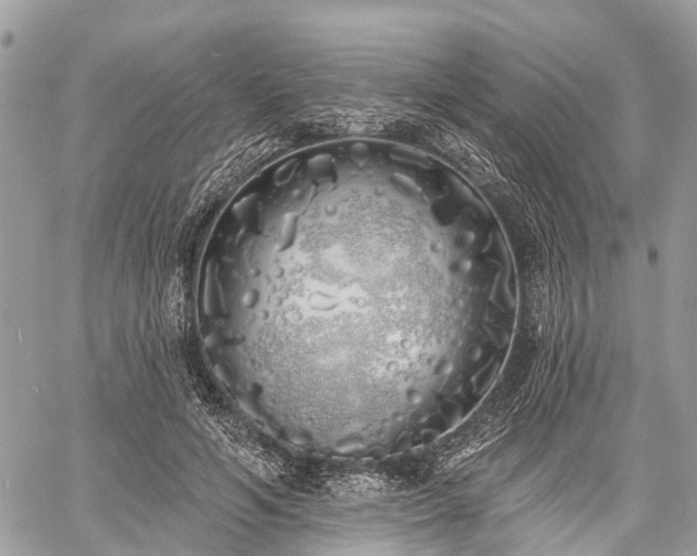 X0000060760594200511141233