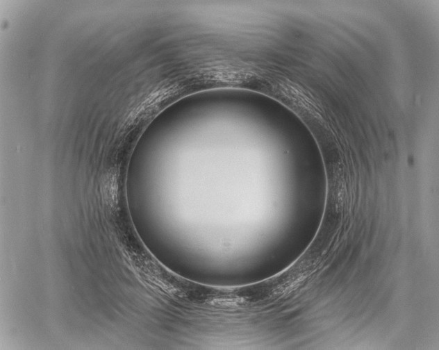 X0000060760595200511141233