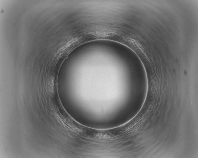 X0000060760596200511141233