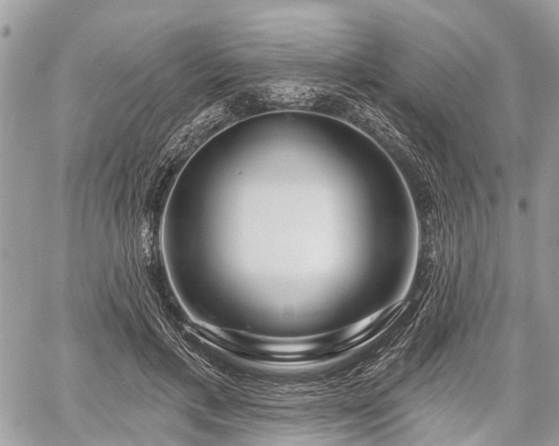 X0000060760597200511141233