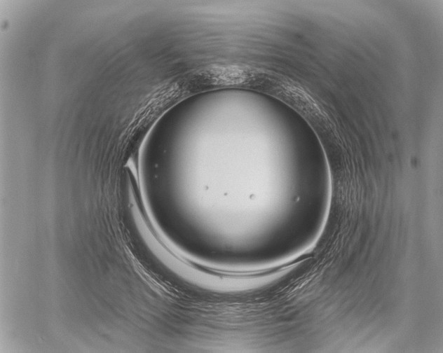 X0000060760598200511141233