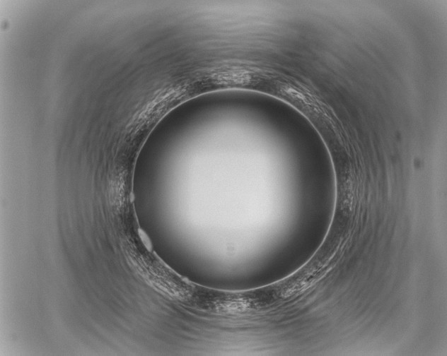 X0000060760600200511141233