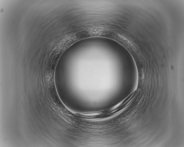 X0000060760601200511141233