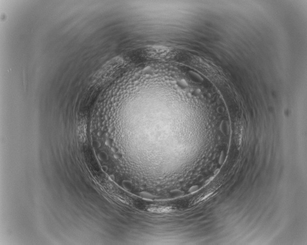 X0000060760602200511141233