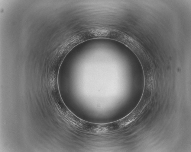 X0000060760604200511141233