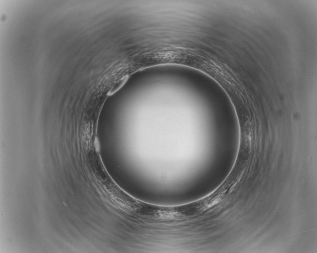 X0000060760605200511141233