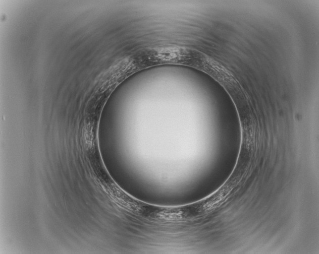 X0000060760606200511141233