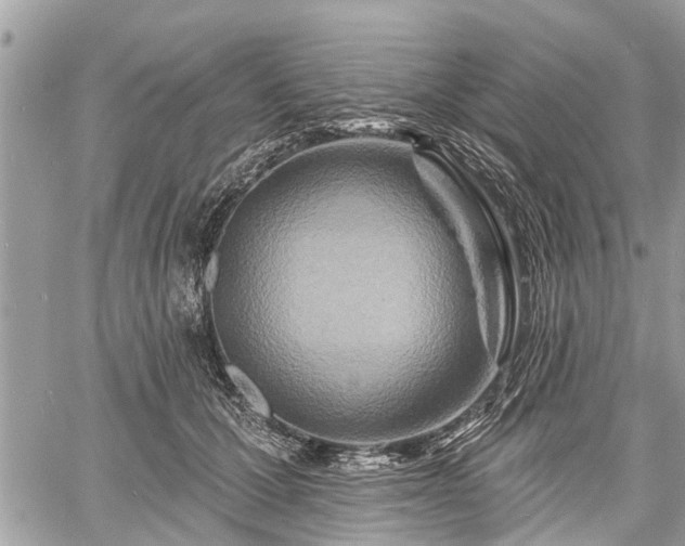 X0000060760607200511141233