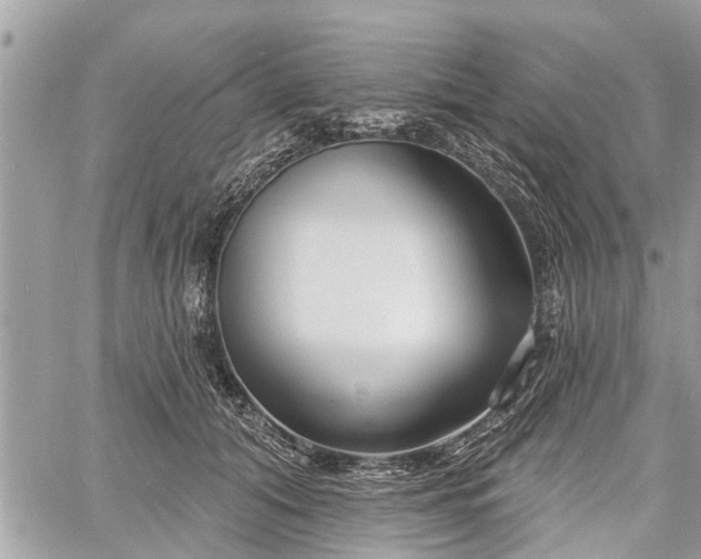 X0000060760608200511141233