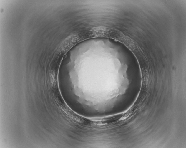 X0000060760610200511141233