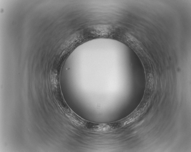 X0000060760612200511141233