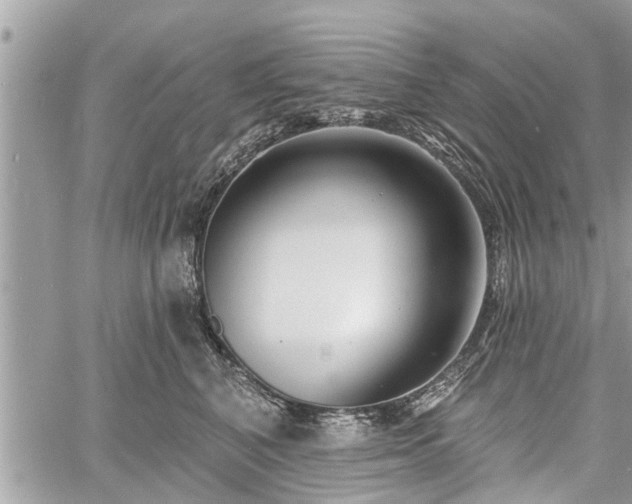 X0000060760616200511141233