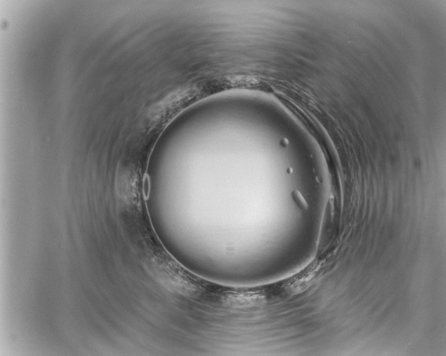 X0000060760619200511141233