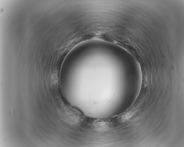 X0000060760620200511141233