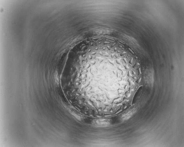 X0000060760622200511141233