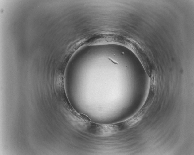 X0000060760623200511141233