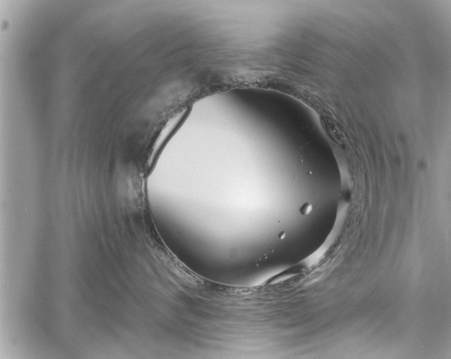 X0000060760624200511141233