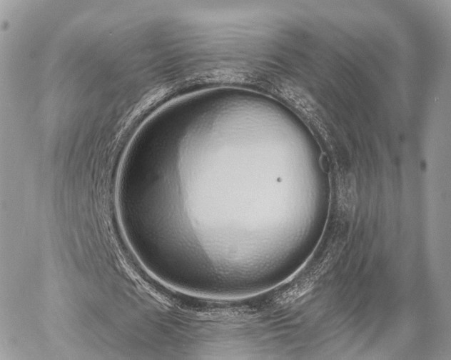 X0000060760625200511141232