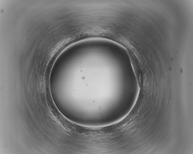 X0000060760626200511141232