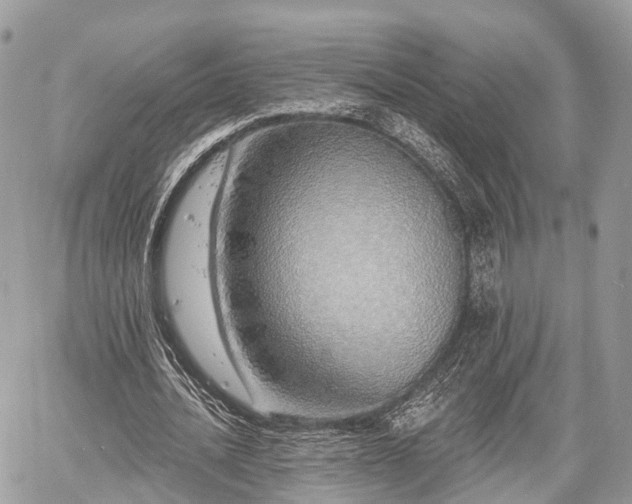 X0000060760628200511141232