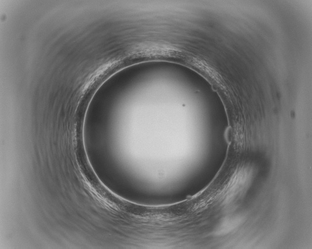 X0000060760629200511141232