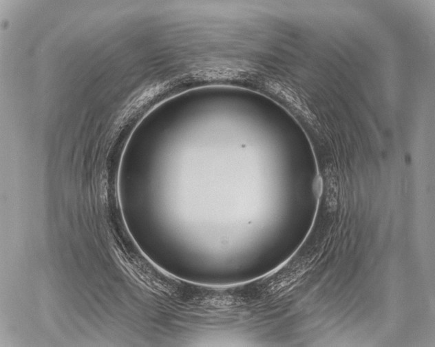 X0000060760631200511141232