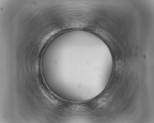 X0000060760632200511141232