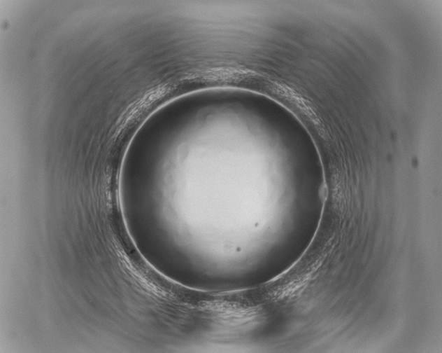 X0000060760633200511141232