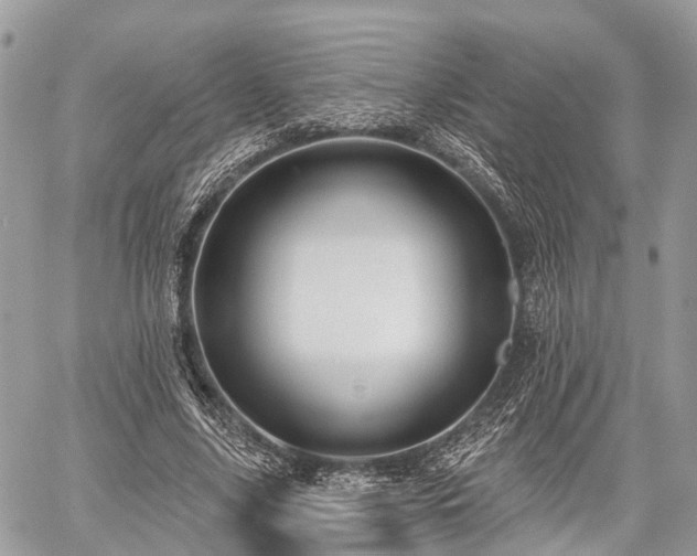 X0000060760635200511141232