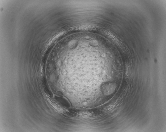 X0000060760636200511141232