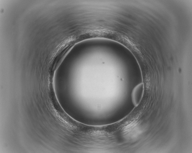 X0000060760637200511141232