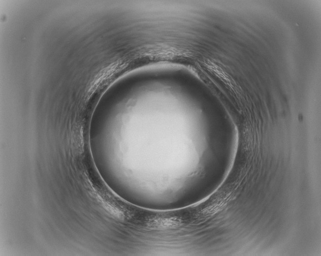 X0000060760638200511141232