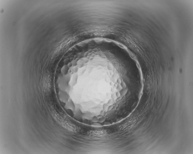 X0000060760639200511141232