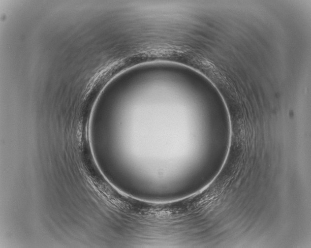 X0000060760640200511141232