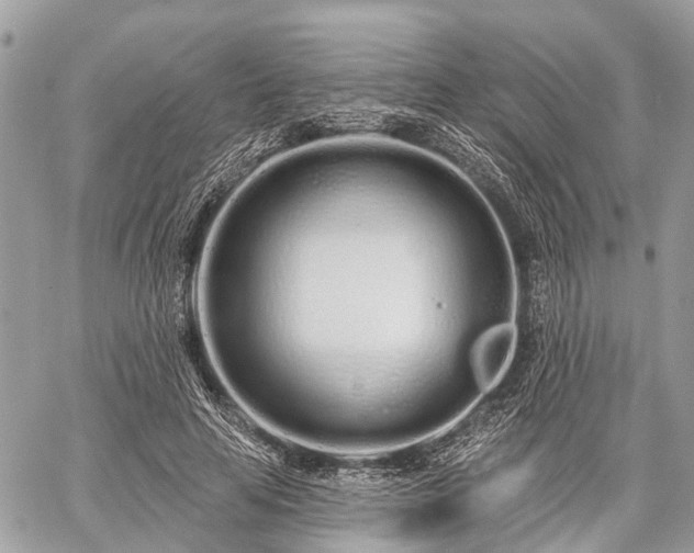 X0000060760641200511141232