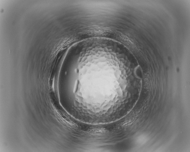 X0000060760642200511141232