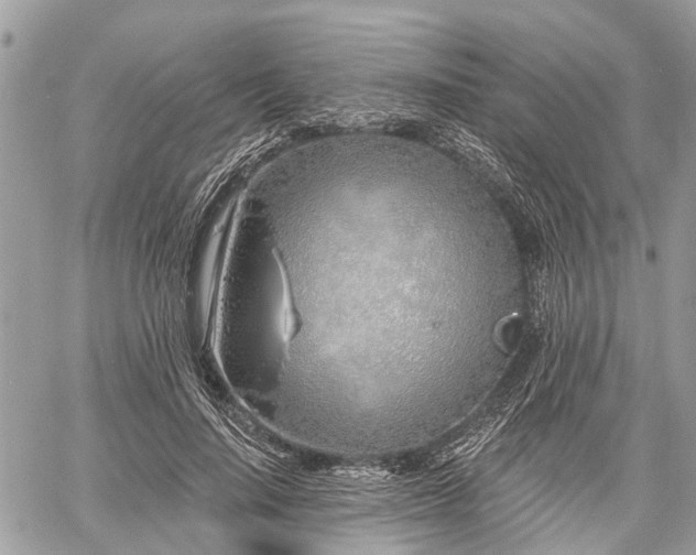 X0000060760644200511141232