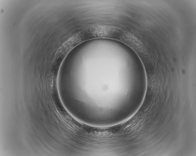 X0000060760645200511141232