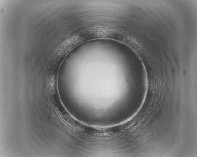 X0000060760646200511141232