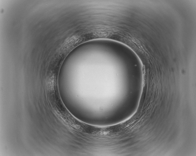 X0000060760647200511141232