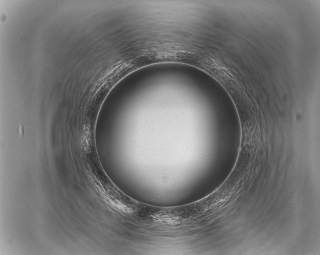 X0000060760648200511141232