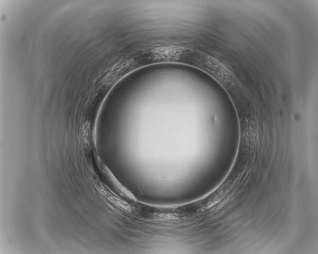 X0000060760649200511141232